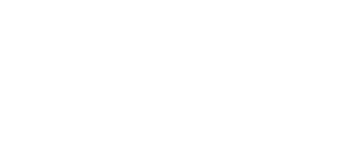 Holub Werbetechnik Logo